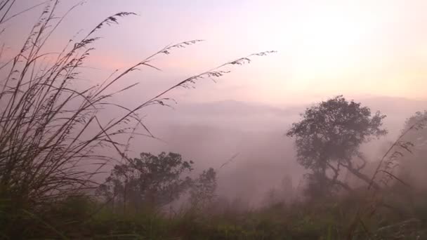 Foggy lever de soleil sur le pic du Petit Adam — Video