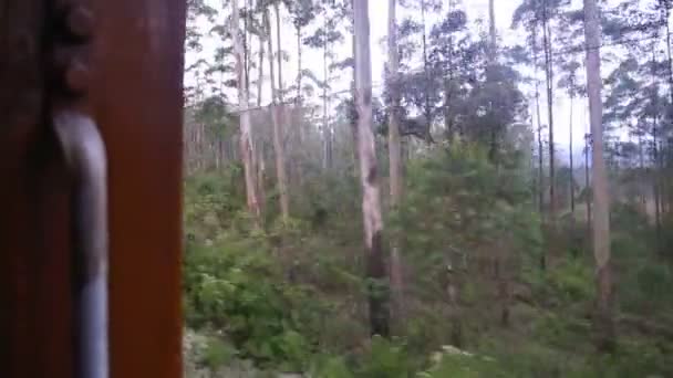 Nuwara eliya Landschaft — Stockvideo