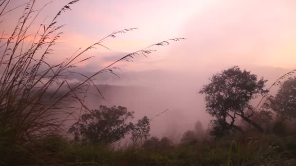 小亚当峰上的雾日出 — 图库视频影像
