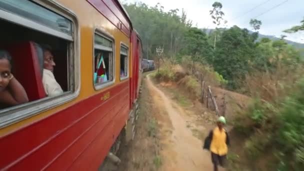 Nuwara Eliya campo a partir do trem em movimento — Vídeo de Stock