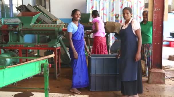 Mujeres trabajando en una máquina en la fábrica de té — Vídeo de stock