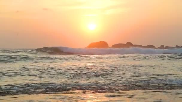 Wellen spülen am Strand — Stockvideo