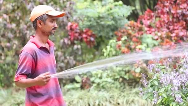 Worker watering flowers — Stock Video