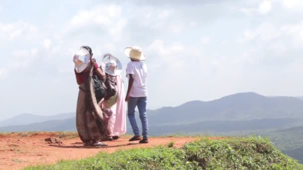 Personas mirando la vista de Sigiriya — Vídeo de stock