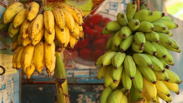 Bananer hängande i lokal butik — Stockvideo