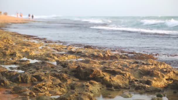 Onde che schizzano sulla spiaggia e nuvole che passano — Video Stock