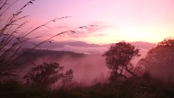 Туманний sunrise на маленький Адам пік — стокове відео