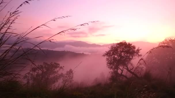 Mistige zonsopgang op de weinig Adam's Peak — Stockvideo