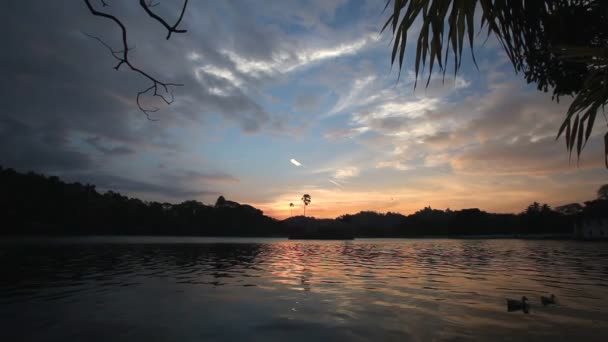 Озеро на заході сонця — стокове відео