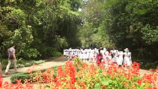 Meninas da escola nos jardins botânicos — Vídeo de Stock