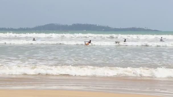 Weergave van surfers in de Oceaan in Weligama — Stockvideo