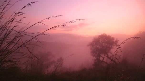 Foggy sunrise on the Little Adam 's Peak — стоковое видео