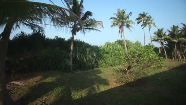 Colombo bord de mer de passage train . — Video