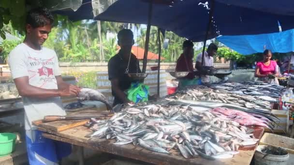 Man cutting and cleaning fish — Stock Video