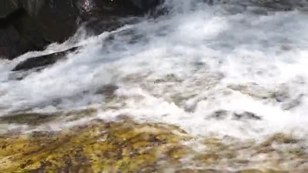 Cascate Ravana a Ella — Video Stock