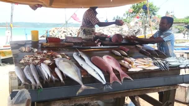 Homme vendant du poisson — Video