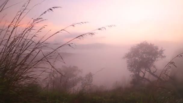 Foggy sunrise on the Little Adam's Peak — Stock Video