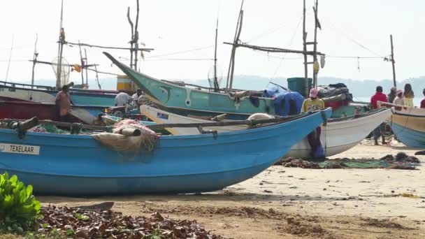 Redes de triagem de pescadores — Vídeo de Stock