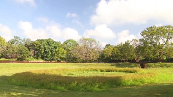 View of nature in Sigiriya — Stock Video