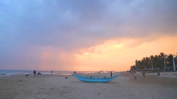 Bateau de pêche traditionnel sur la plage Hikkaduwa — Video