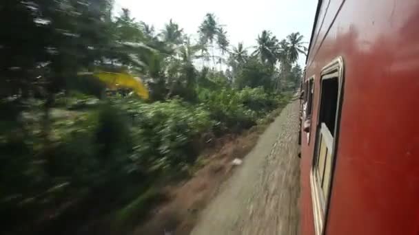 Sri Lankaanse platteland landschap uit trein — Stockvideo