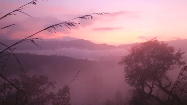 Amanecer brumoso en el Pico del Pequeño Adán — Vídeo de stock