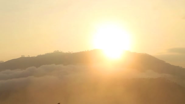 Foggy lever de soleil — Video