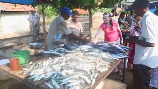 Locals selling and buying fish — Stock Video