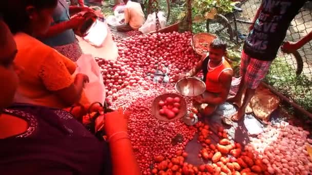 Tubylec siedzący sprzedaży pomidory — Wideo stockowe