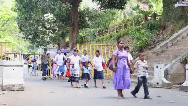 The locals passing near the Temple — стоковое видео