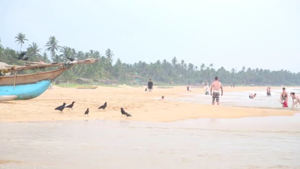 Hikkaduwa beach — Stok video