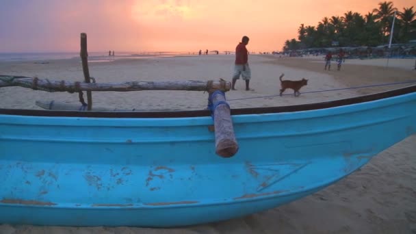 Barca da pesca tradizionale sulla spiaggia di Hikkaduwa — Video Stock