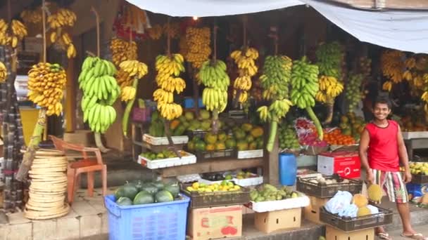 İşçi ile yerel meyve deposu — Stok video