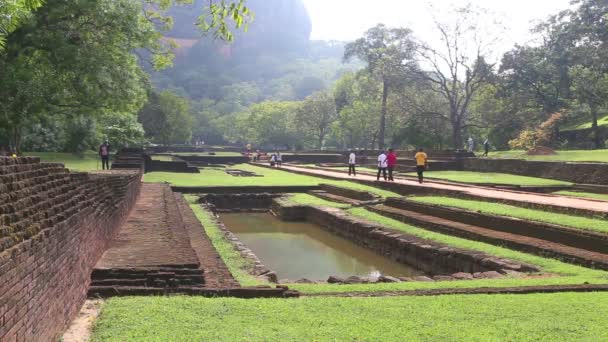 Jardines en Sigiriya — Vídeo de stock