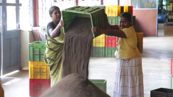 Women tipping tea from the basket on the pile in the tea factory — Stock Video