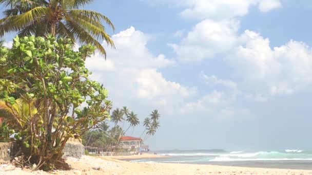 Ondas salpicando a praia e nuvens passando — Vídeo de Stock