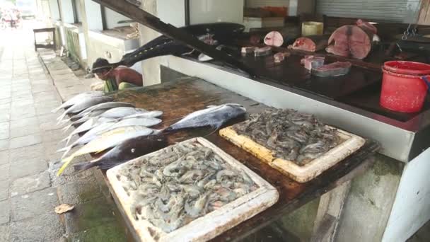 Рыба, выставленная у местного торговца рыбой — стоковое видео