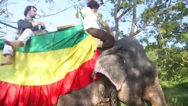 Tourists riding an elephant in Sigiriya — Stock Video