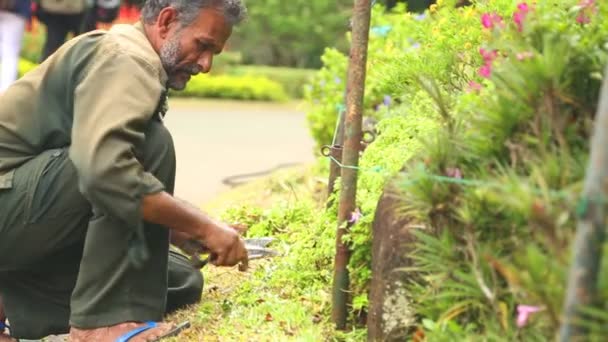 Werknemer werken met bodem en bloemen — Stockvideo