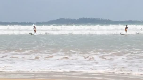 View of surfers in the ocean in Weligama — Stock Video
