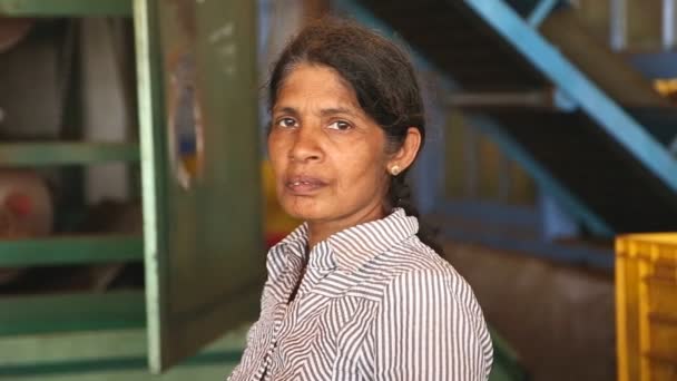 Женщина работает на чайной фабрике — стоковое видео