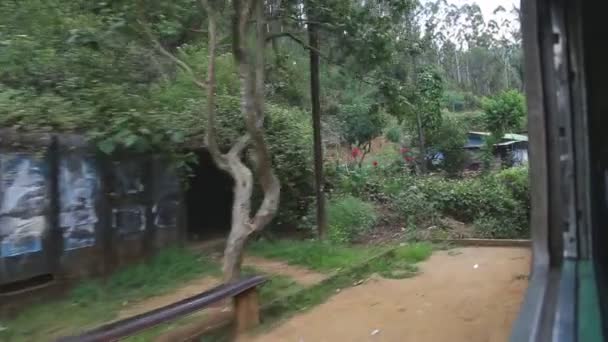 Nuwara Eliya platteland van de rijdende trein. — Stockvideo