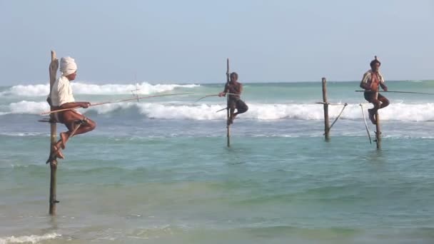 Rybáři na rybářské tyče — Stock video