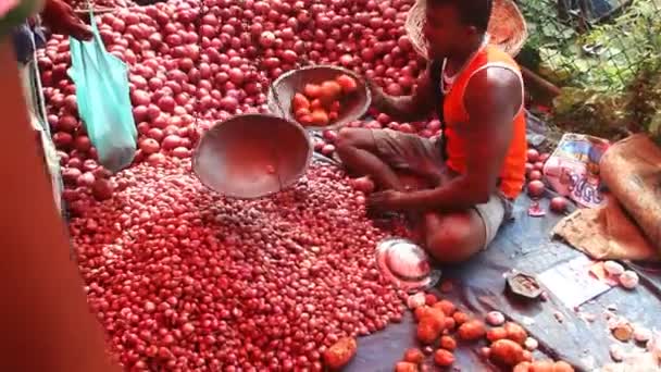 Tubylec siedzący sprzedaży pomidory — Wideo stockowe
