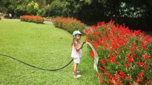 庭に花を咲かせる少女 — ストック動画