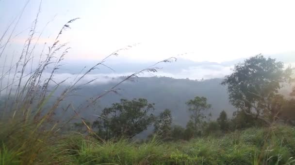 Foggy sunrise — Stock Video