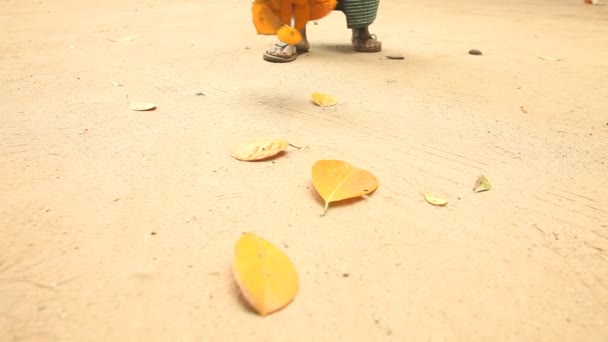 Hombre recogiendo hojas — Vídeo de stock