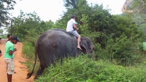 Muž a dítě na koni slon — Stock video