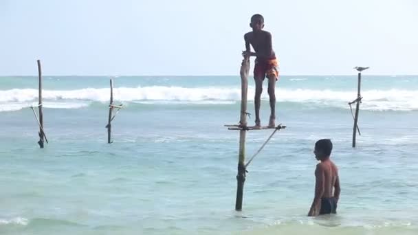 Les jeunes garçons jouent sur une canne à pêche — Video