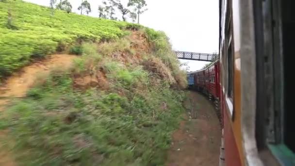 Landschaft und Zug aus dem Fenster — Stockvideo